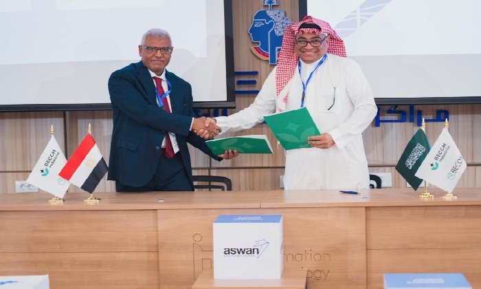 جامعة أسوان 
